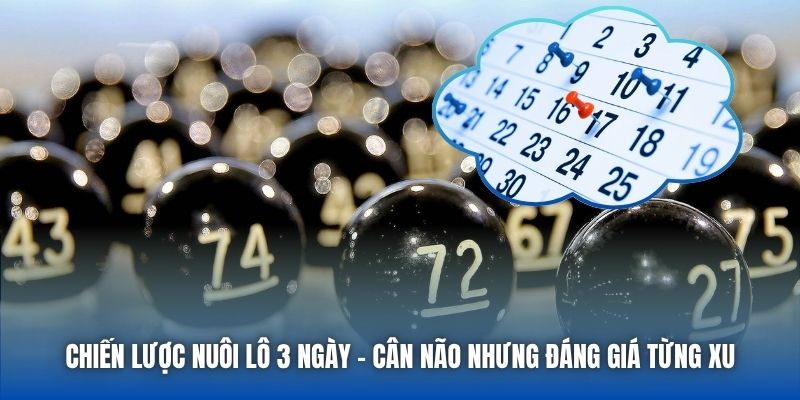 Chiến lược nuôi lô 3 ngày - Cân não nhưng đáng giá từng xu