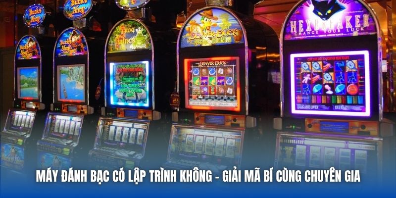 Máy Đánh Bạc Có Lập Trình Không - Giải Mã Bí Cùng Chuyên Gia