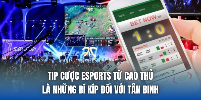 Tip cược Esports từ cao thủ là những bí kíp đối với tân binh